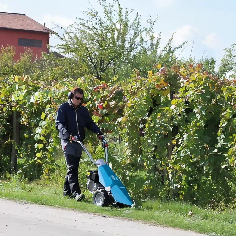 Motosegadoras de peine