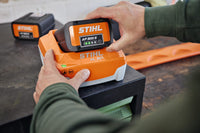 Thumbnail for Cargador Rápido AL 301 STIHL