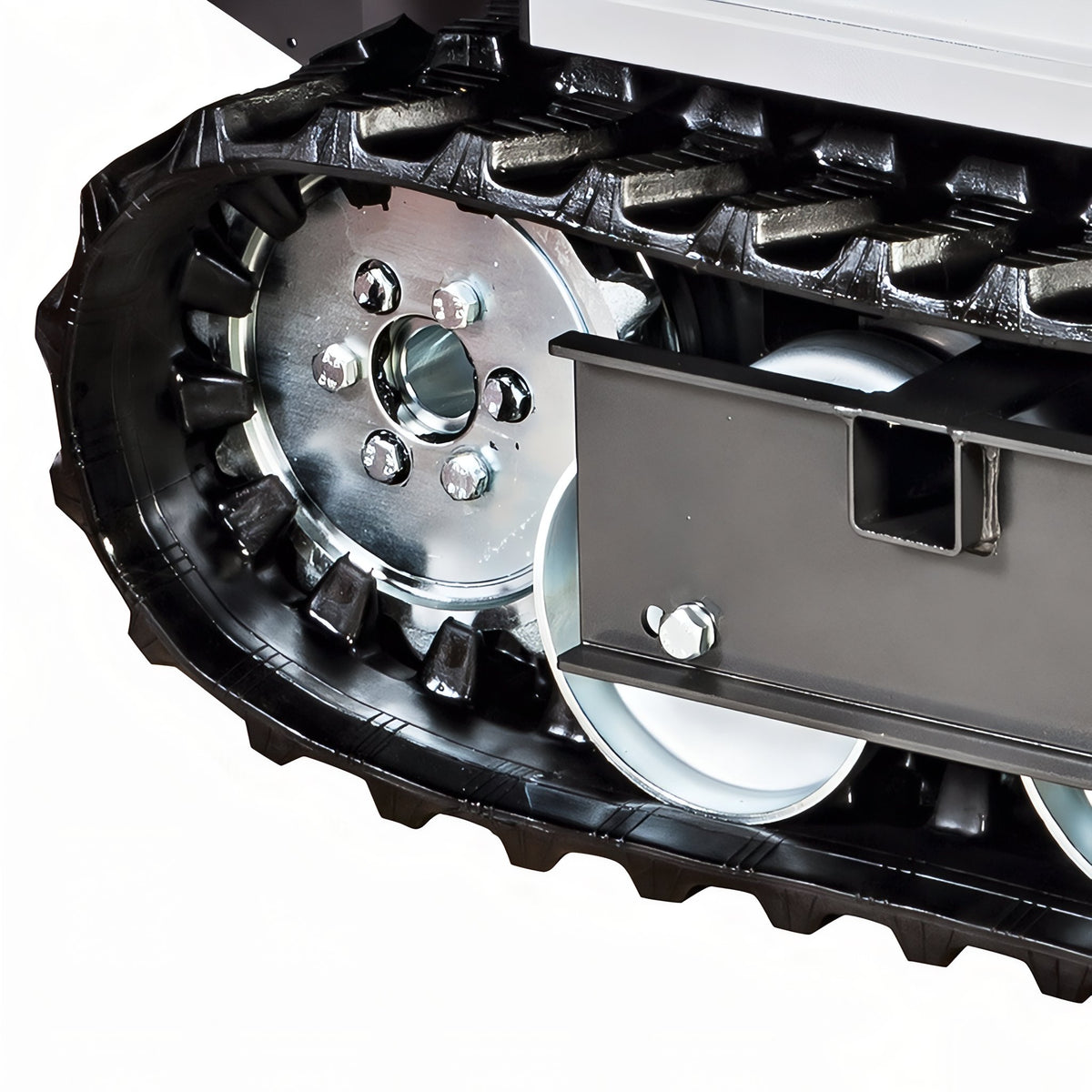 Carretilla transportadora Bertolini BTR 450
