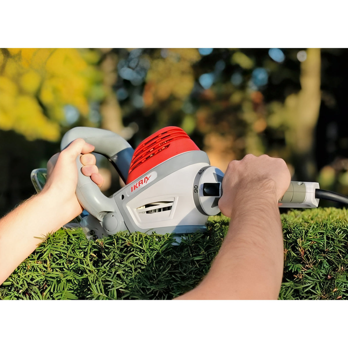 Cortasetos ANOVA electrico 550 w