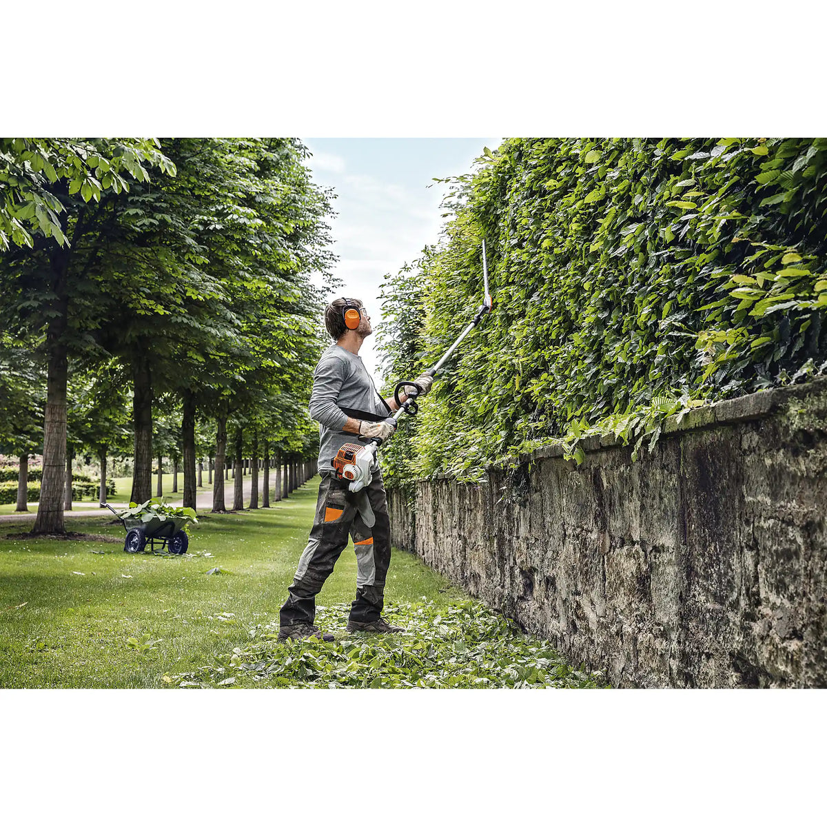 Cortasetos STIHL Cortasetos HL 94 C-E, 145º