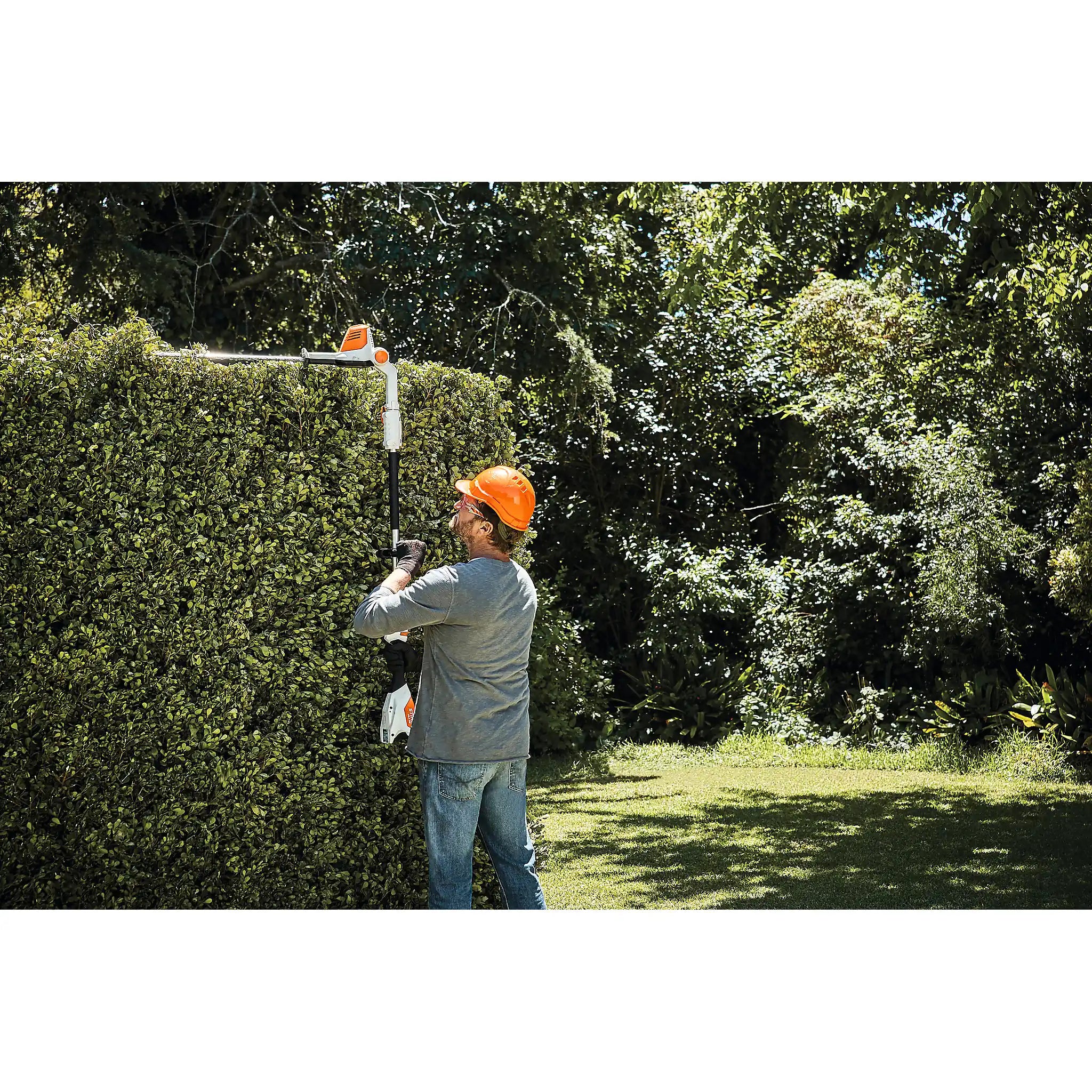 Cortasetos STIHL Cortasrtos HLA 56, con batería AK 20 y cargador AL 101