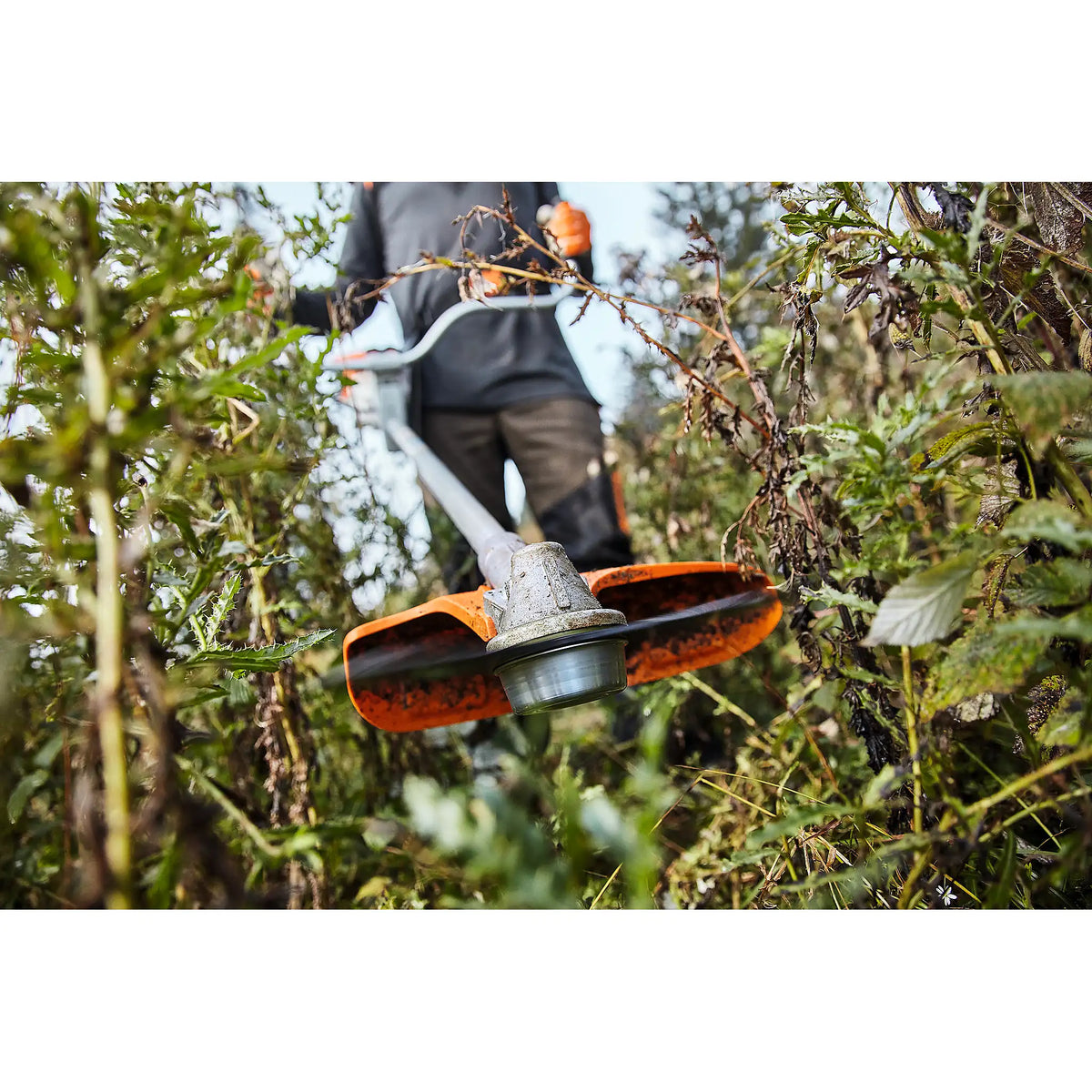 Desbrozadora STIHL FS 311