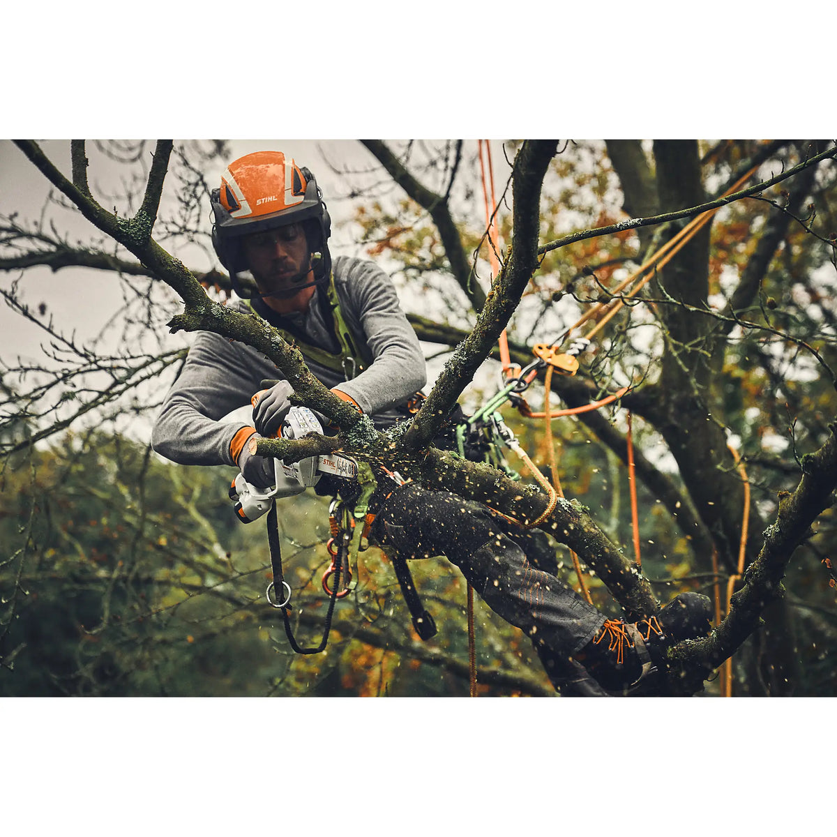 GTA 40 con 2 baterías AS 2 y cargador AL 5-2 STIHL