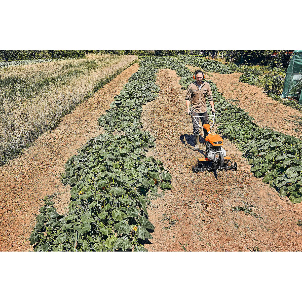 Motoazada STIHL MH 600