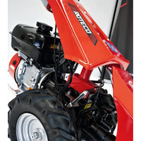 Thumbnail for Segadora Roteco Ibis Monomarcha