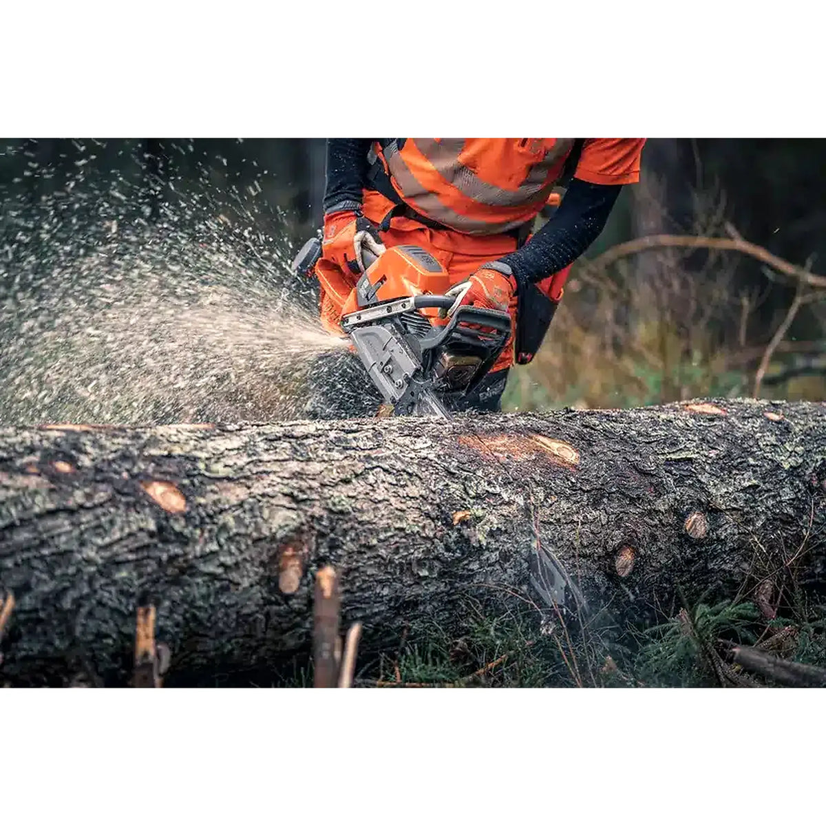 Motosierra 592 XP®