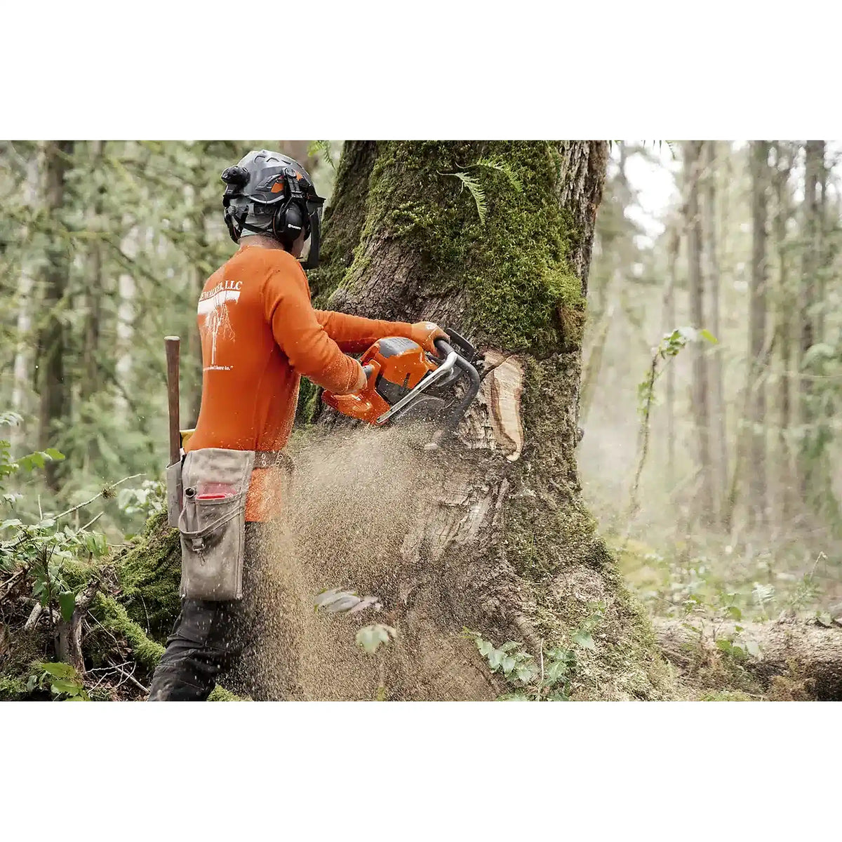 Motosierra 592 XP®