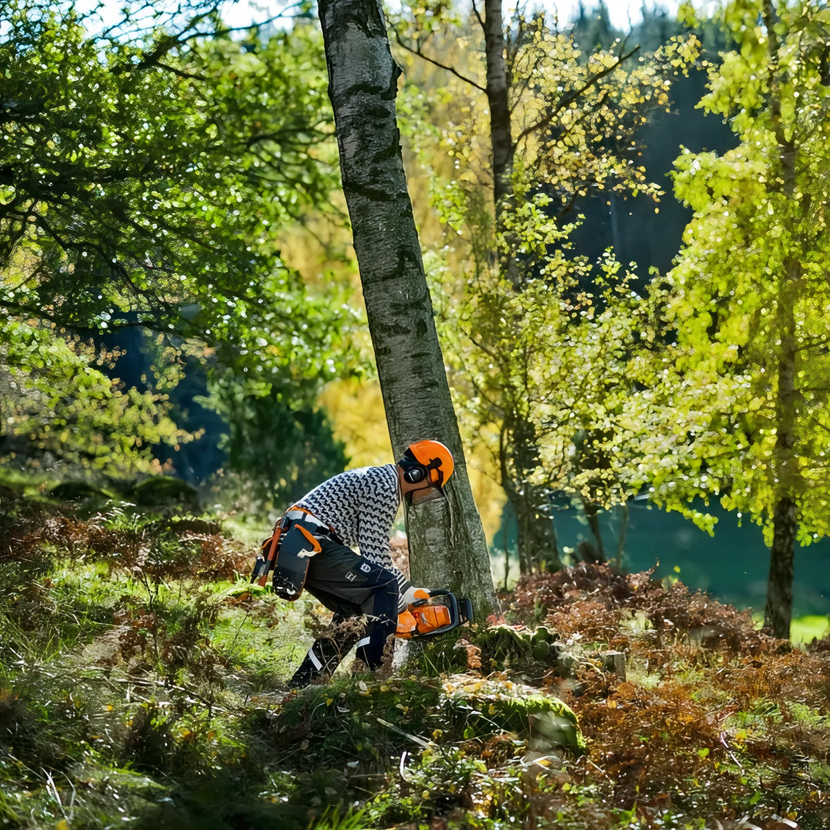 Motosierra Husqvarna 450S