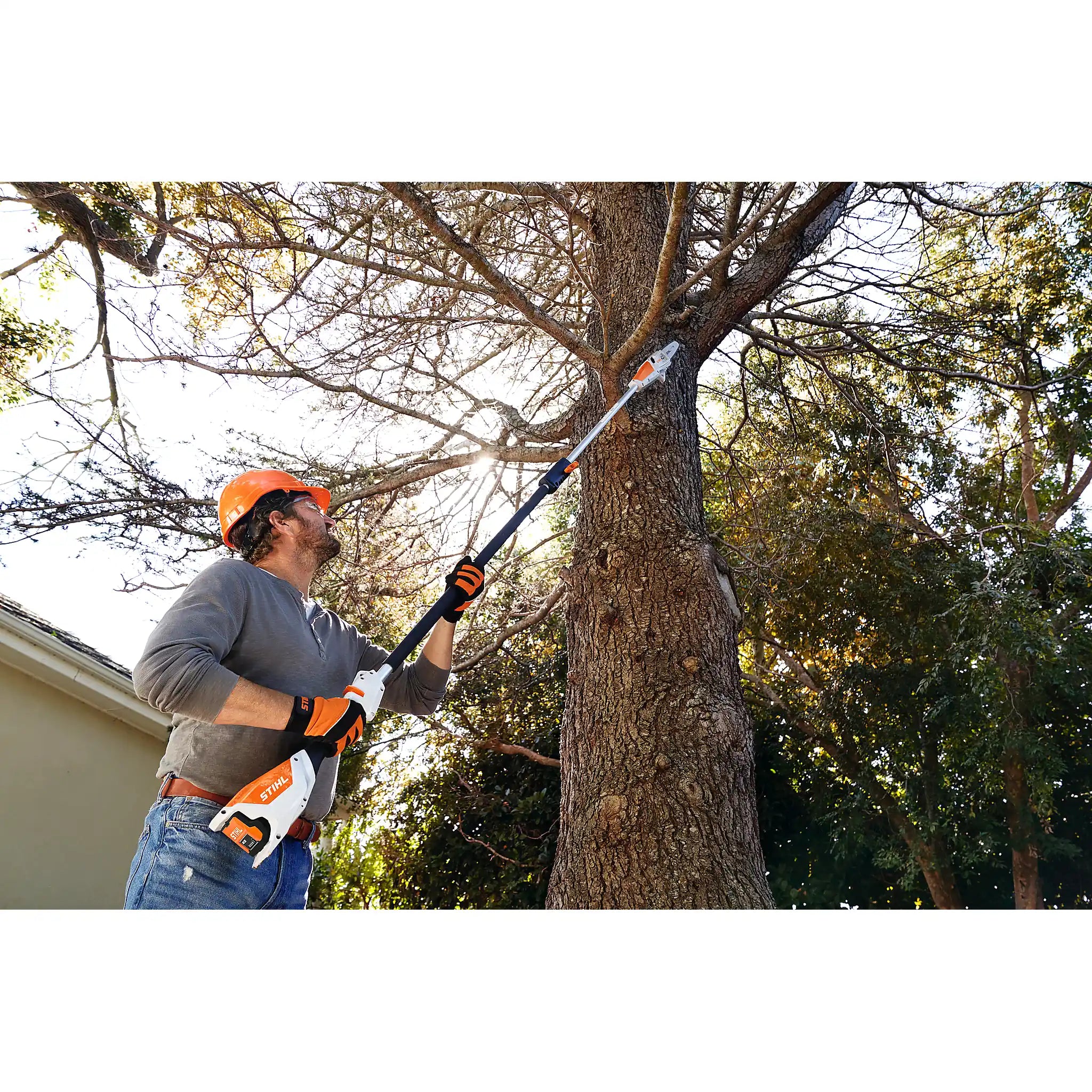 Podadora de Altura STIHL HTA 50, sin batería ni cargador