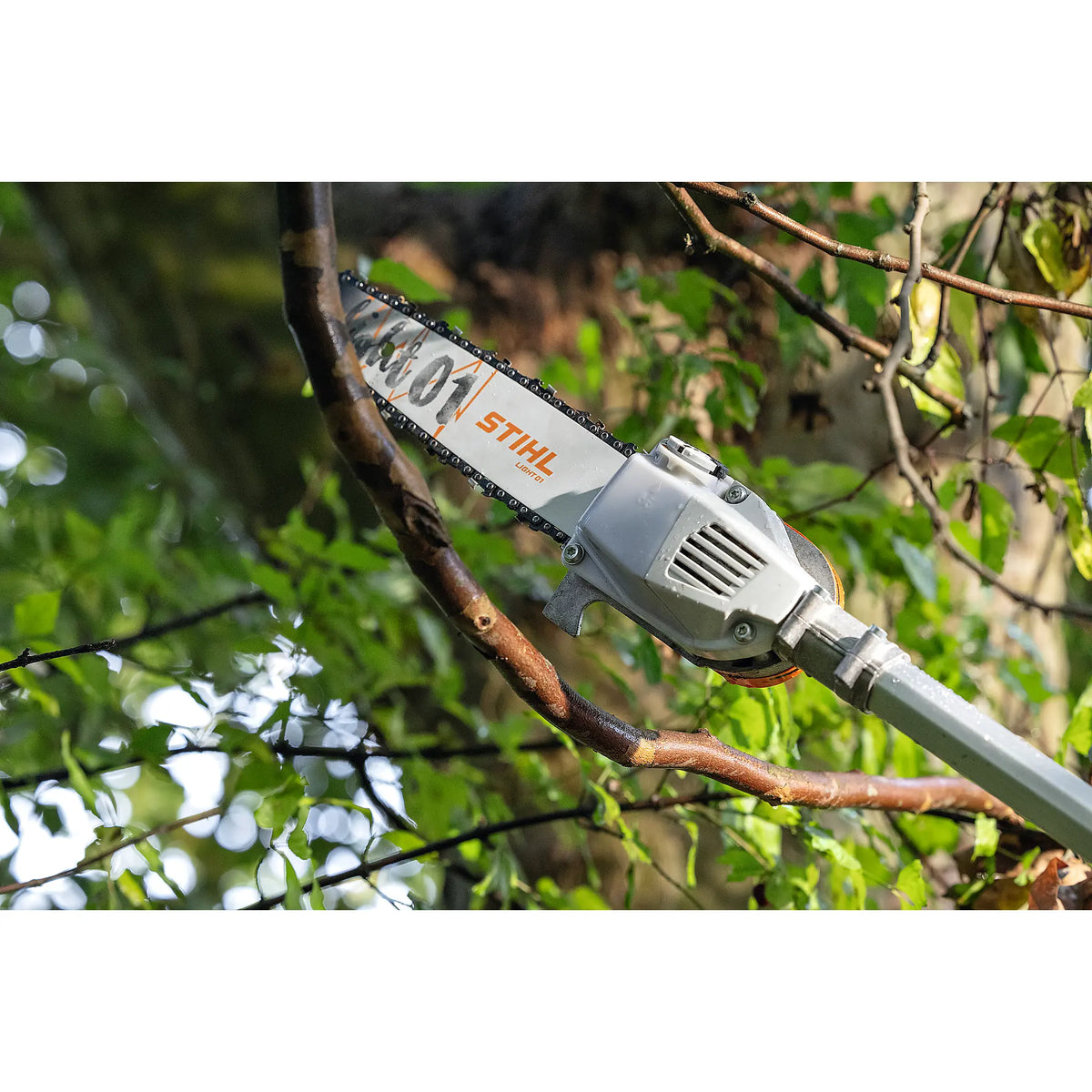 Podadora de Altura STIHL HTA 66 K, sin batería ni cargador